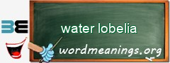 WordMeaning blackboard for water lobelia